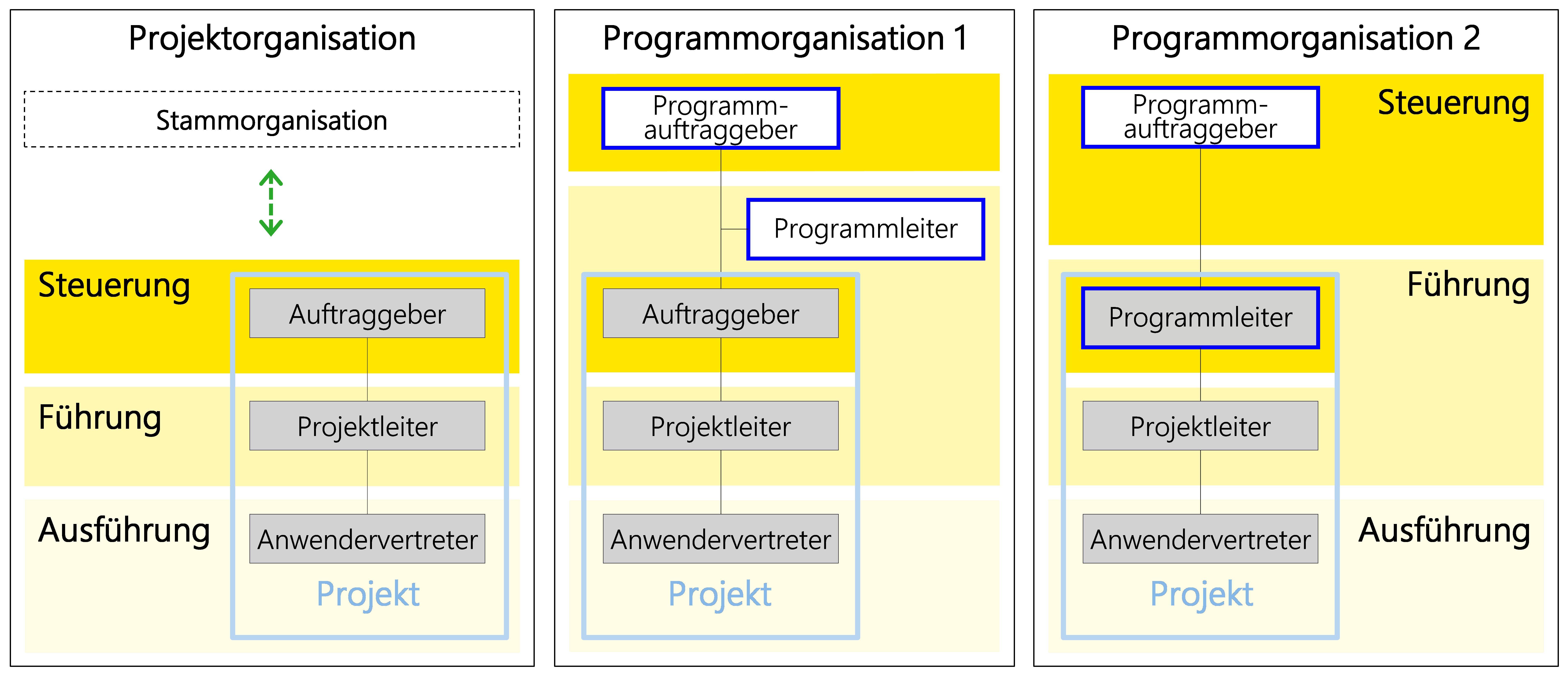 Abbildung: Drei mögliche Grundvarianten der Projektorganisation